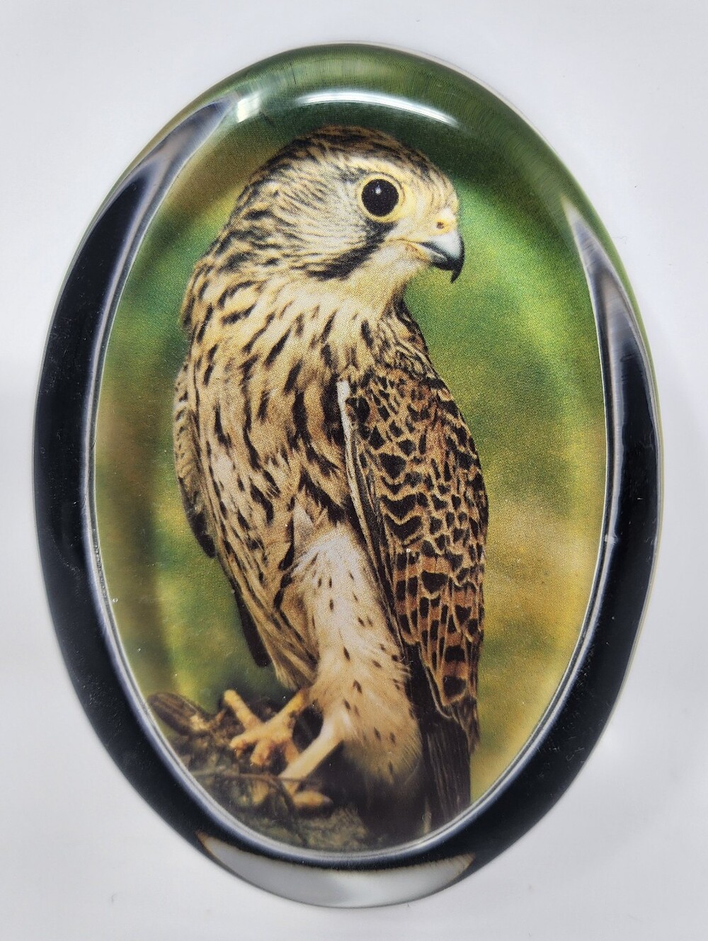 Vintage Kestrel British Bird English Glass Paperweight